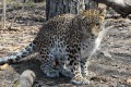 National Park “Land of Leopards”