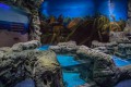 Primorsky Aquarium